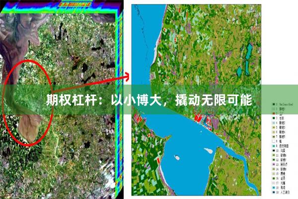 期权杠杆：以小博大，撬动无限可能