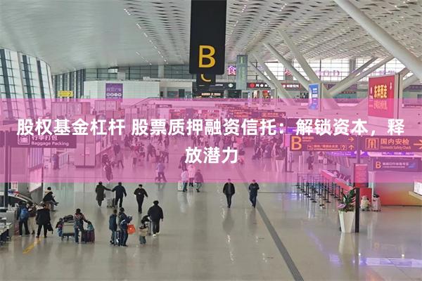 股权基金杠杆 股票质押融资信托：解锁资本，释放潜力