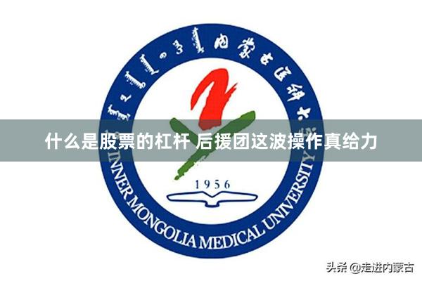 什么是股票的杠杆 后援团这波操作真给力