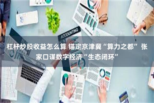 杠杆炒股收益怎么算 锚定京津冀“算力之都” 张家口谋数字经济“生态闭环”