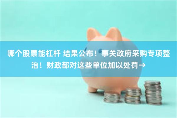 哪个股票能杠杆 结果公布！事关政府采购专项整治！财政部对这些单位加以处罚→