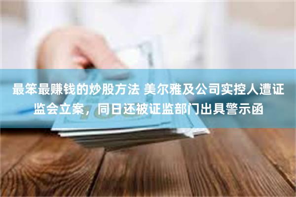 最笨最赚钱的炒股方法 美尔雅及公司实控人遭证监会立案，同日还被证监部门出具警示函