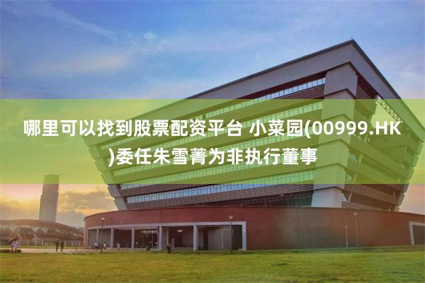 哪里可以找到股票配资平台 小菜园(00999.HK)委任朱雪菁为非执行董事