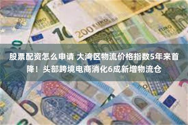 股票配资怎么申请 大湾区物流价格指数5年来首降！头部跨境电商消化6成新增物流仓