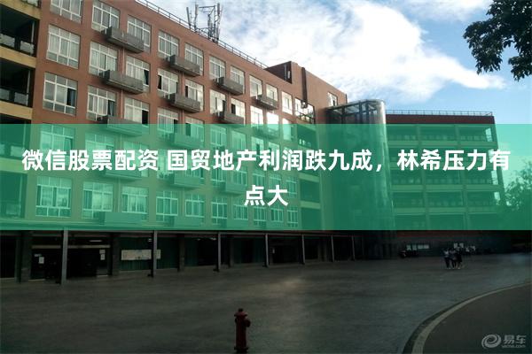微信股票配资 国贸地产利润跌九成，林希压力有点大