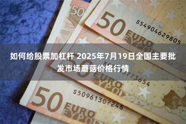 如何给股票加杠杆 2025年7月19日全国主要批发市场蘑菇价格行情