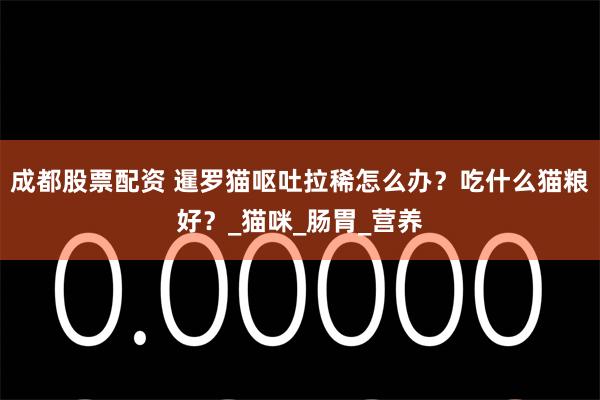 成都股票配资 暹罗猫呕吐拉稀怎么办？吃什么猫粮好？_猫咪_肠胃_营养