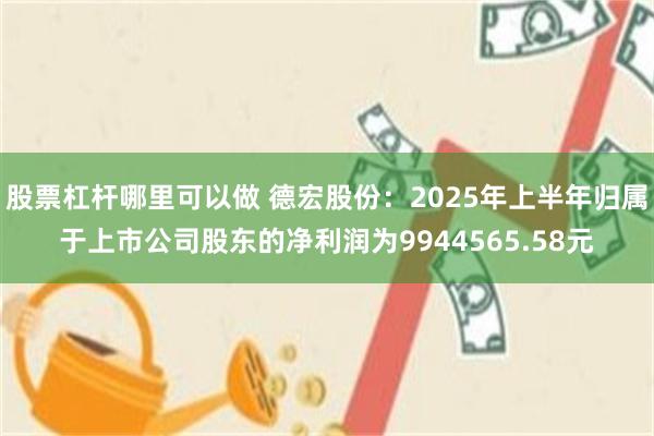 股票杠杆哪里可以做 德宏股份：2025年上半年归属于上市公司股东的净利润为9944565.58元