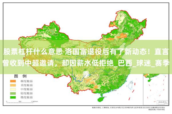 股票杠杆什么意思 洛国富退役后有了新动态！直言曾收到中超邀请，却因薪水低拒绝_巴西_球迷_赛季