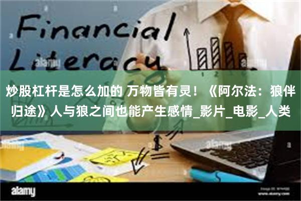 炒股杠杆是怎么加的 万物皆有灵！《阿尔法：狼伴归途》人与狼之间也能产生感情_影片_电影_人类