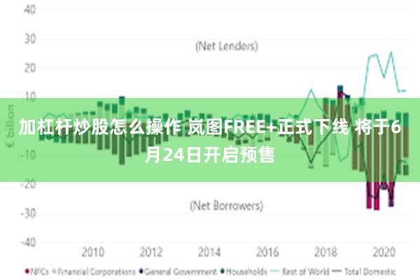 加杠杆炒股怎么操作 岚图FREE+正式下线 将于6月24日开启预售