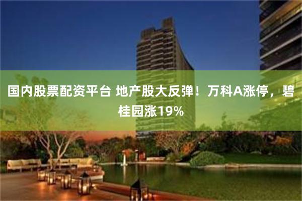 国内股票配资平台 地产股大反弹!万科A涨停,碧桂园涨19%