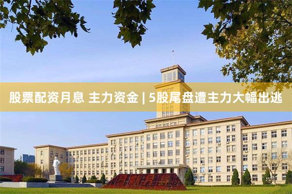 股票配资月息 主力资金 | 5股尾盘遭主力大幅出逃