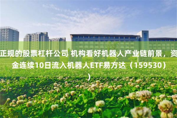正规的股票杠杆公司 机构看好机器人产业链前景，资金连续10日流入机器人ETF易方达（159530）