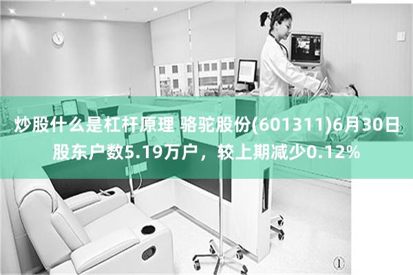 炒股什么是杠杆原理 骆驼股份(601311)6月30日股东户数5.19万户，较上期减少0.12%