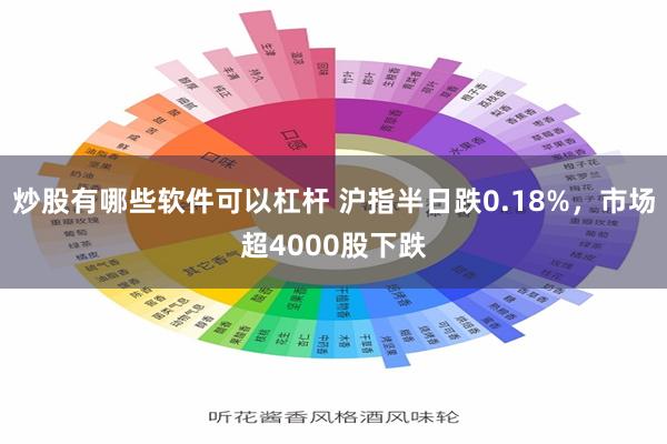 炒股有哪些软件可以杠杆 沪指半日跌0.18%，市场超4000股下跌