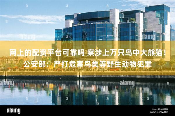 网上的配资平台可靠吗 案涉上万只鸟中大熊猫！公安部：严打危害鸟类等野生动物犯罪