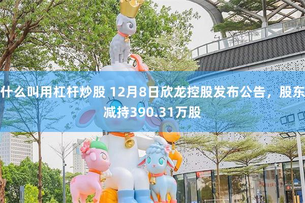 什么叫用杠杆炒股 12月8日欣龙控股发布公告，股东减持390.31万股