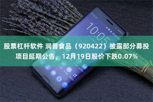股票杠杆软件 润普食品（920422）披露部分募投项目延期公告，12月19日股价下跌0.07%