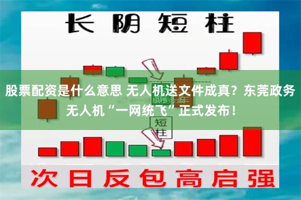 股票配资是什么意思 无人机送文件成真？东莞政务无人机“一网统飞”正式发布！