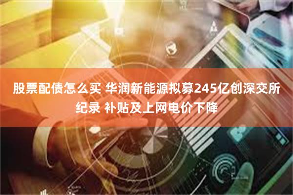 股票配债怎么买 华润新能源拟募245亿创深交所纪录 补贴及上网电价下降