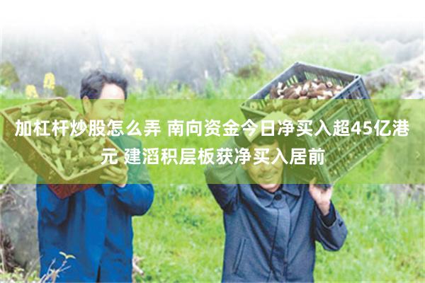 加杠杆炒股怎么弄 南向资金今日净买入超45亿港元 建滔积层板获净买入居前