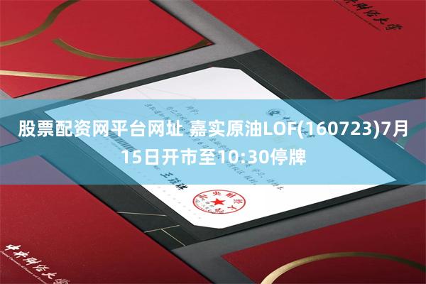 股票配资网平台网址 嘉实原油LOF(160723)7月15日开市至10:30停牌