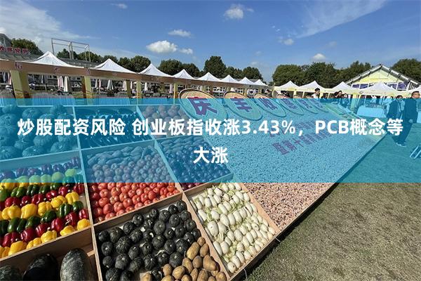 炒股配资风险 创业板指收涨3.43%，PCB概念等大涨
