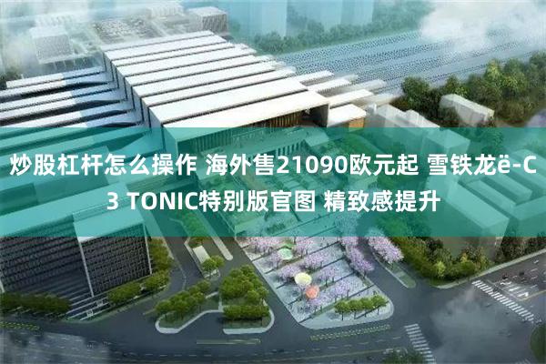 炒股杠杆怎么操作 海外售21090欧元起 雪铁龙ë-C3 TONIC特别版官图 精致感提升