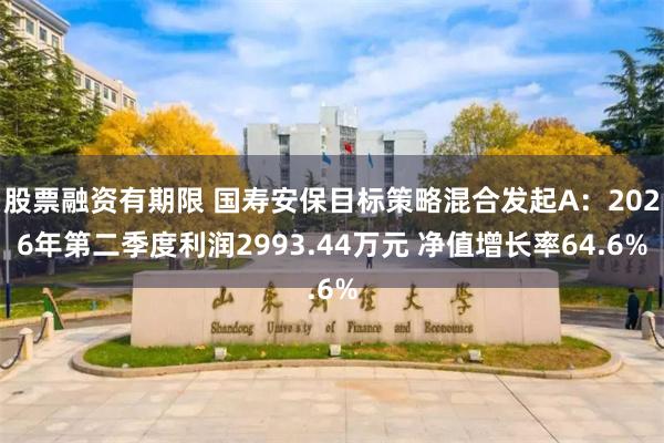 股票融资有期限 国寿安保目标策略混合发起A:2026年第二季度利润2993.44万元 净值增长率64.6%