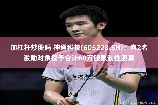 加杠杆炒股吗 神通科技(605228.SH)：向2名激励对象授予合计60万股限制性股票
