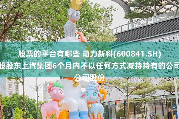 股票的平台有哪些 动力新科(600841.SH)：控股股东上汽集团6个月内不以任何方式减持持有的公司股份