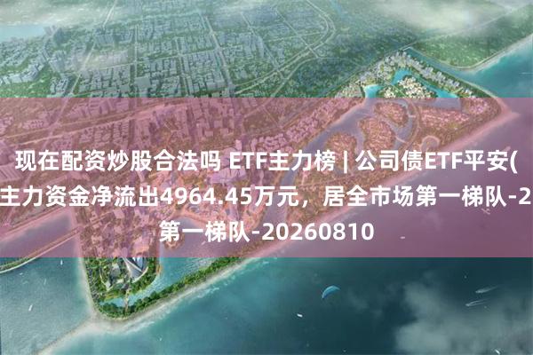 现在配资炒股合法吗 ETF主力榜 | 公司债ETF平安(511030)主力资金净流出4964.45万元，居全市场第一梯队-20260810