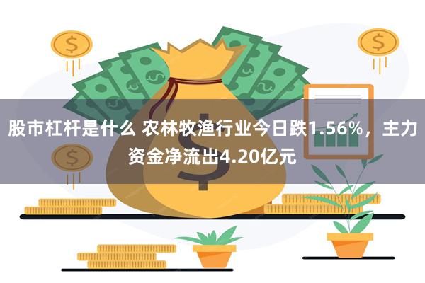 股市杠杆是什么 农林牧渔行业今日跌1.56%,主力资金净流出4.20亿元