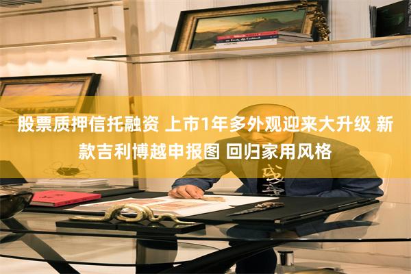 股票质押信托融资 上市1年多外观迎来大升级 新款吉利博越申报图 回归家用风格