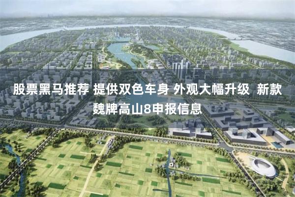 股票黑马推荐 提供双色车身 外观大幅升级  新款魏牌高山8申报信息