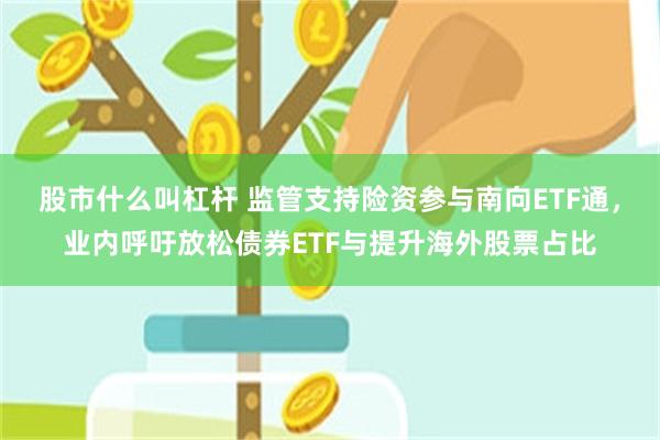 股市什么叫杠杆 监管支持险资参与南向ETF通，业内呼吁放松债券ETF与提升海外股票占比