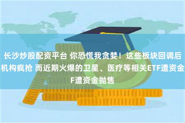 长沙炒股配资平台 你恐慌我贪婪！这些板块回调后正被机构疯抢 而近期火爆的卫星、医疗等相关ETF遭资金抛售