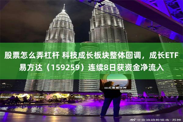 股票怎么弄杠杆 科技成长板块整体回调，成长ETF易方达（159259）连续8日获资金净流入