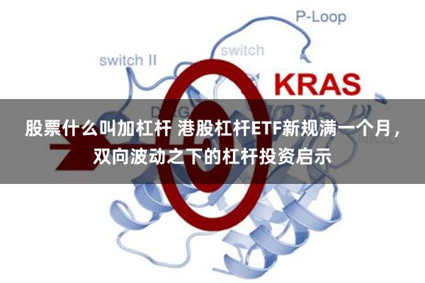 股票什么叫加杠杆 港股杠杆ETF新规满一个月，双向波动之下的杠杆投资启示