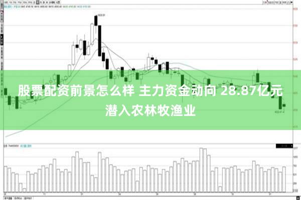 股票配资前景怎么样 主力资金动向 28.87亿元潜入农林牧渔业