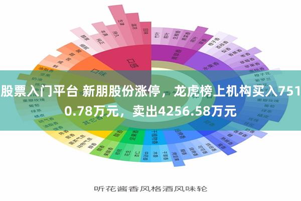 股票入门平台 新朋股份涨停，龙虎榜上机构买入7510.78万元，卖出4256.58万元
