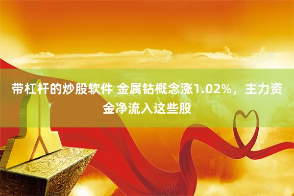 带杠杆的炒股软件 金属钴概念涨1.02%，主力资金净流入这些股