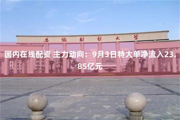 国内在线配资 主力动向：9月3日特大单净流入23.85亿元