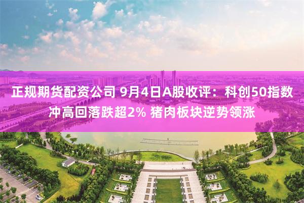 正规期货配资公司 9月4日A股收评：科创50指数冲高回落跌超2% 猪肉板块逆势领涨