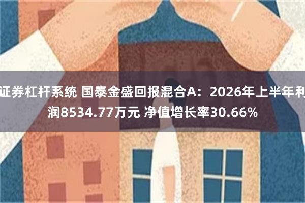 证券杠杆系统 国泰金盛回报混合A：2026年上半年利润8534.77万元 净值增长率30.66%