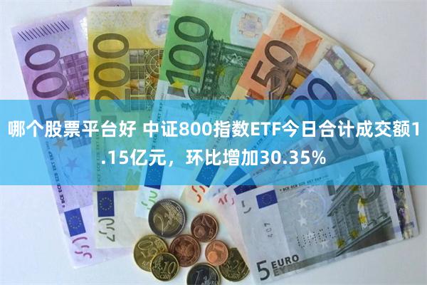 哪个股票平台好 中证800指数ETF今日合计成交额1.15亿元,环比增加30.35%