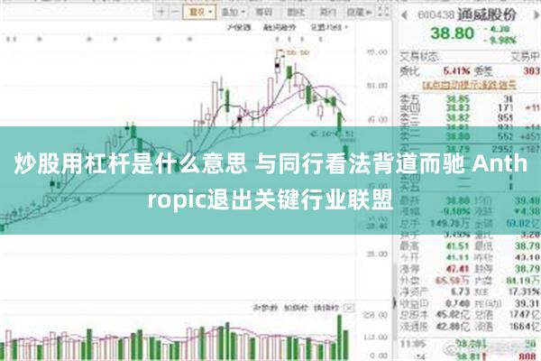 炒股用杠杆是什么意思 与同行看法背道而驰 Anthropic退出关键行业联盟