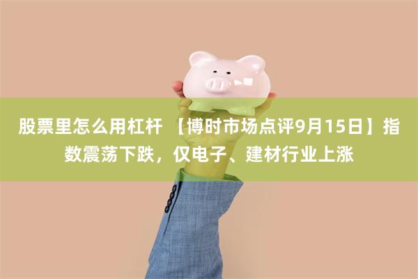 股票里怎么用杠杆 【博时市场点评9月15日】指数震荡下跌，仅电子、建材行业上涨