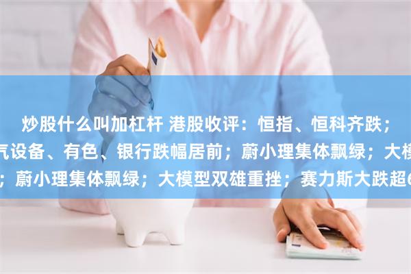 炒股什么叫加杠杆 港股收评：恒指、恒科齐跌；软件、半导体上涨；电气设备、有色、银行跌幅居前；蔚小理集体飘绿；大模型双雄重挫；赛力斯大跌超6%